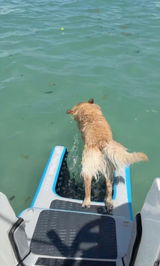 Sea junkies review photo