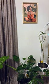 Etsy customer review photo