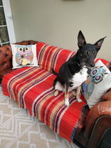 100% Recycled Random Wool Rugs