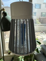 Richard review photo