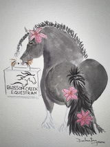 SonaEquestrian