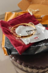 Rounak Ravi review photo