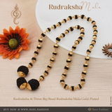 rav Baldev review photo
