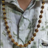 Sanjay Gaikwad review photo