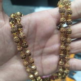Harnisha Hodar review photo