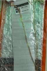 Veena review photo