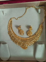 Malvika review photo