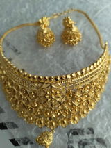 Sushma review photo