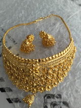Sushma review photo