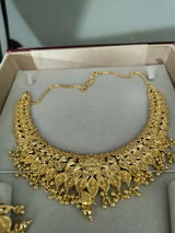 Harshini Fernandes review photo