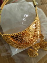 Gayatri Hegde review photo