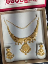 Payal review photo