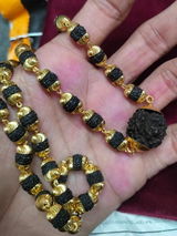 Dharmendra GAUCHANDRA review photo