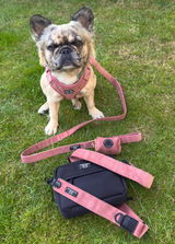 Bumper review photo