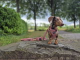 Mendy review photo
