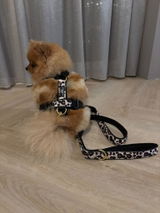 Naomi review photo