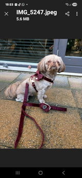Hennie review photo