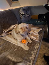 Hennie review photo
