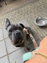 Lottebeerens review photo