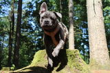 Lottebeerens review photo