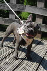 Lottebeerens review photo