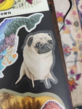 Etsy customer review photo