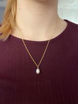 Sophia review photo