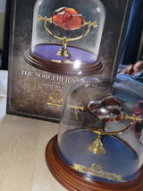 Charles-Olivier Binette review photo