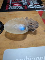 Lyne review photo
