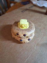Sarah Gardner review photo