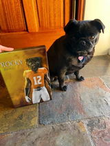 The Volunteers - Custom Pet Canvas