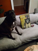 The Buffaloes - Custom Pet Canvas
