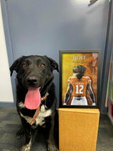 Texas (Austin) - Football Pet Portrait