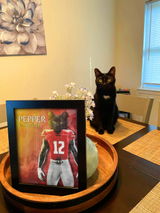 The Buckeyes - Custom Pet Portrait