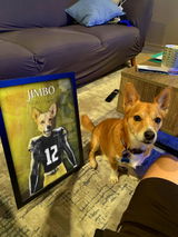 The Hawkeyes - Custom Pet Portrait
