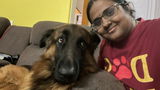 Prabha Karthik review photo