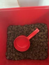 Mia R review photo