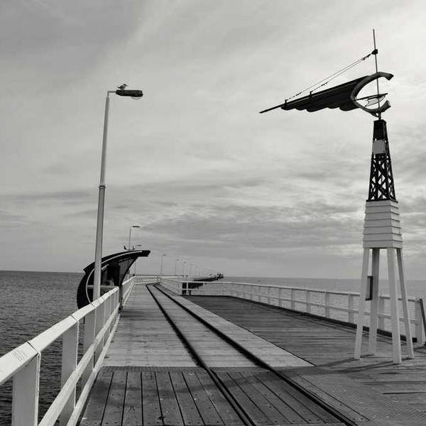 Brandon Wallace — Portfolio Director review photo