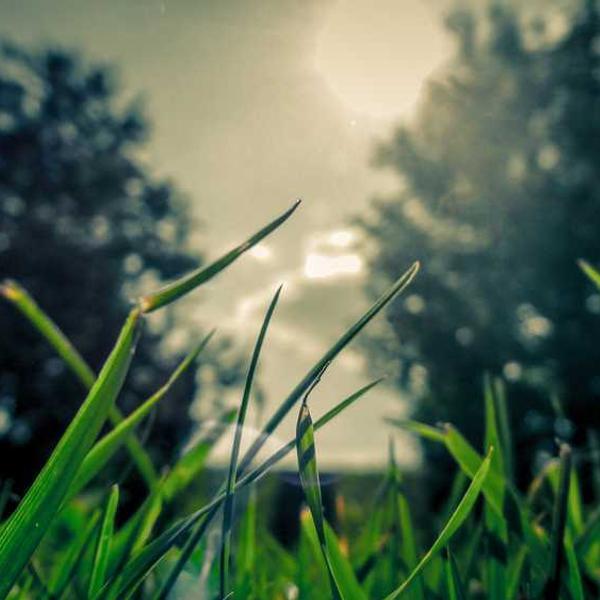 Gabriel Wallace — Senior Vice President review photo