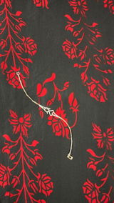 Risha Gupta review photo