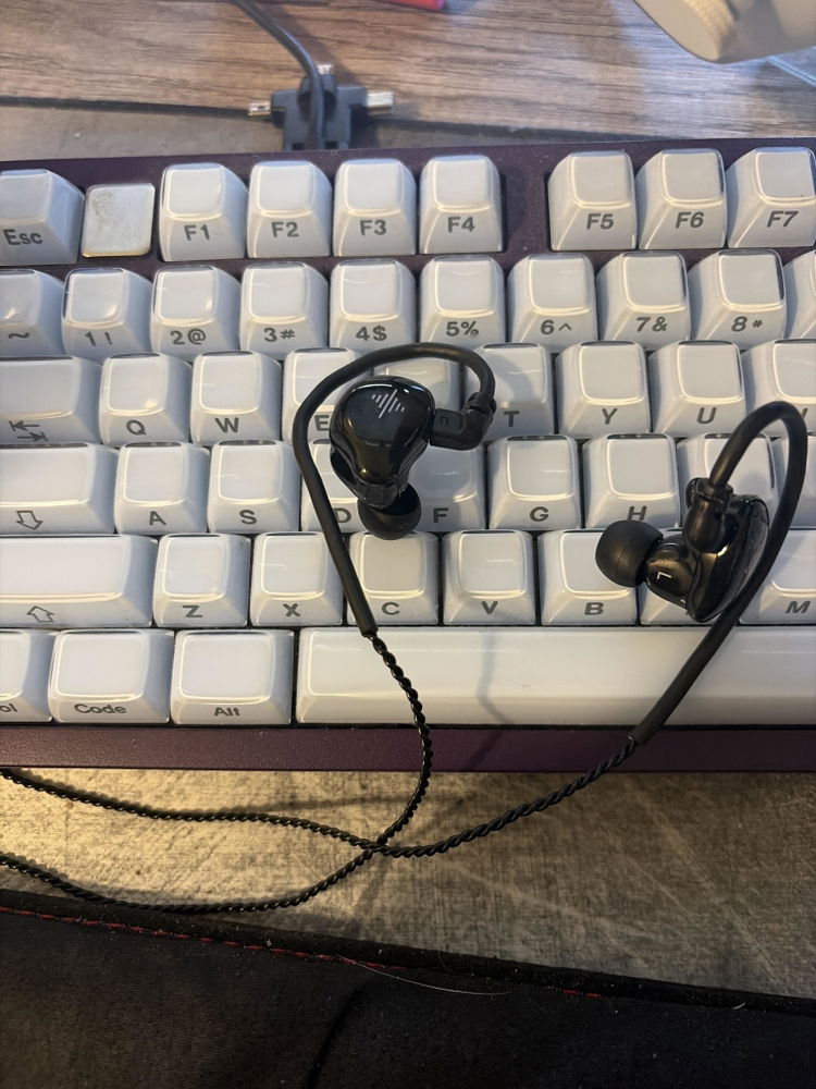 Customer photo of Wave in-ear monitors from David Skinner