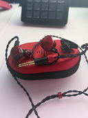 Customer photo of Wave Pro 2 in-ear monitors from Anonymous