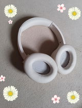 L. review photo