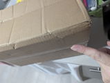L.R. review photo