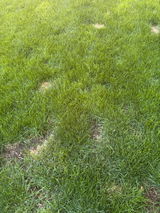 Shauna S review photo