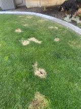 Shauna S review photo