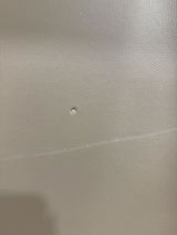 Mackenzie Gorman review photo