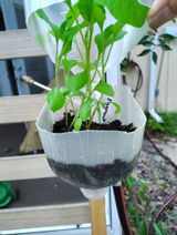 Etsy customer review photo