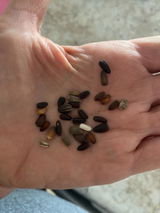 Etsy customer review photo