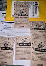 Etsy customer review photo